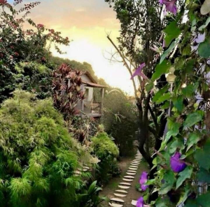 Pousada Trilha Violeta São Jorge 외부 사진